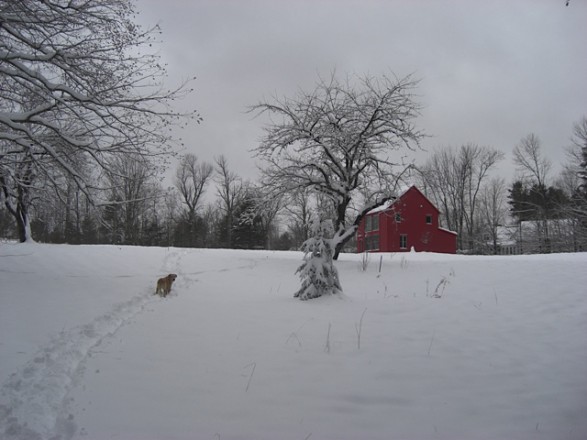 WInter