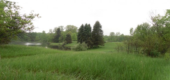 panorama 3