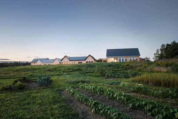 3-COHO_exterior_field_trent_Bell.