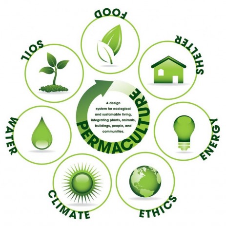 Image via Glacial Lakes Permaculture