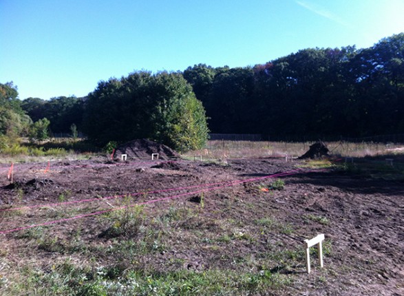site